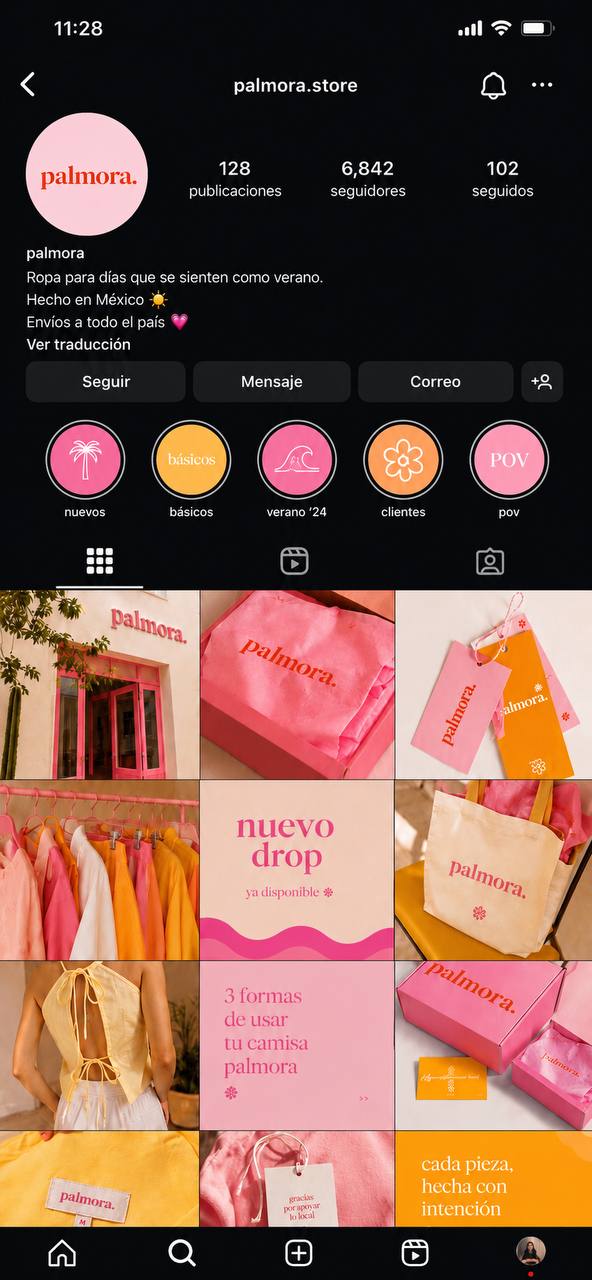 Sistema Visual — Palmora